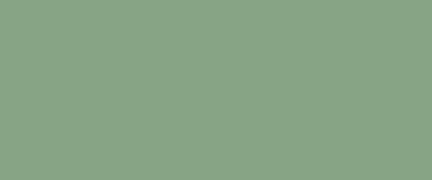 green solid banner